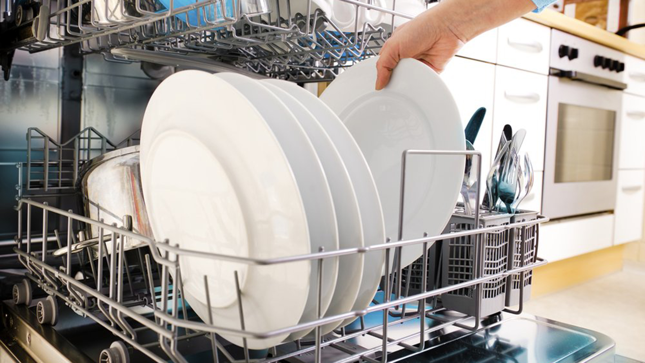 4 Reasons for Dishwasher Clogs
